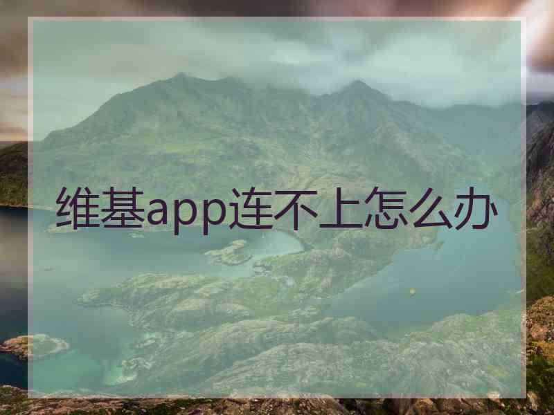维基app连不上怎么办 维基app连不上怎么办