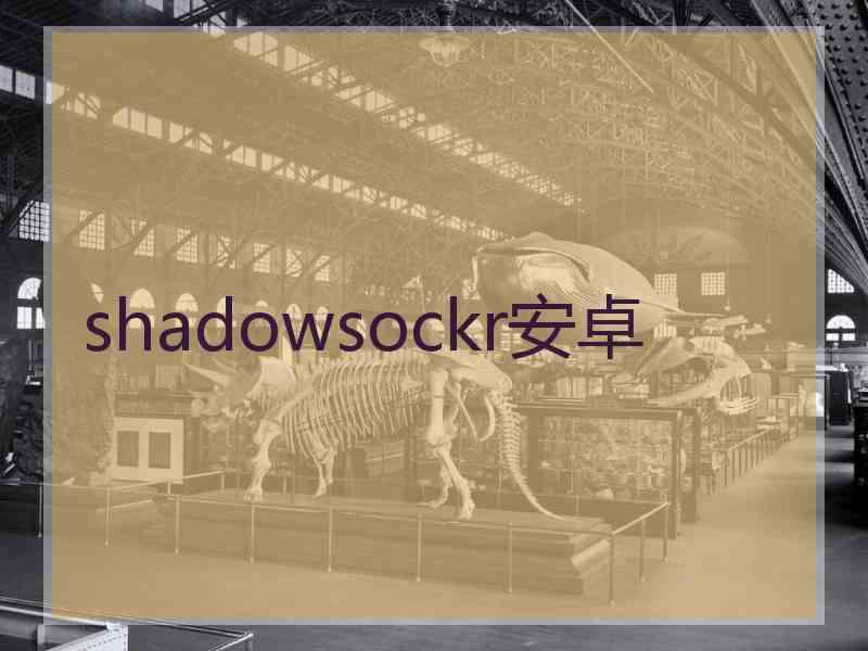 shadowsockr安卓 shadowsockr安卓