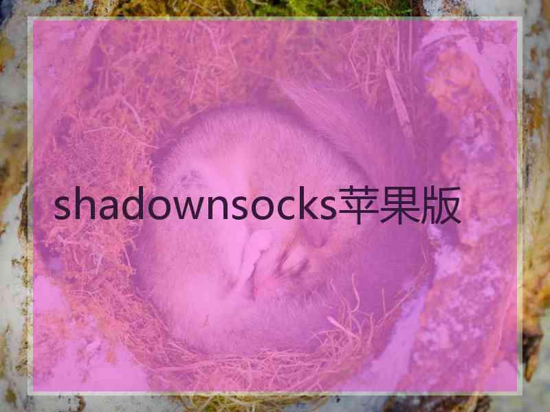 shadownsocks苹果版 shadownsocks苹果版