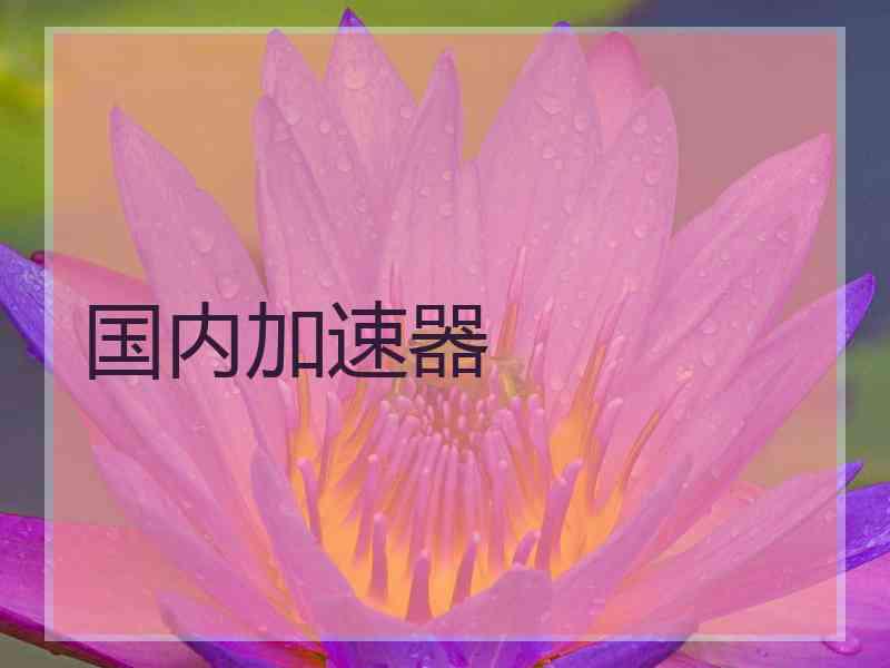 国内加速器 国内加速器