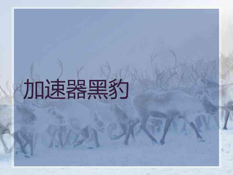 加速器黑豹 加速器黑豹