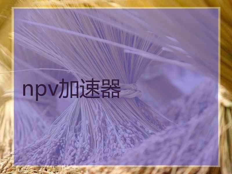 npv加速器 npv加速器