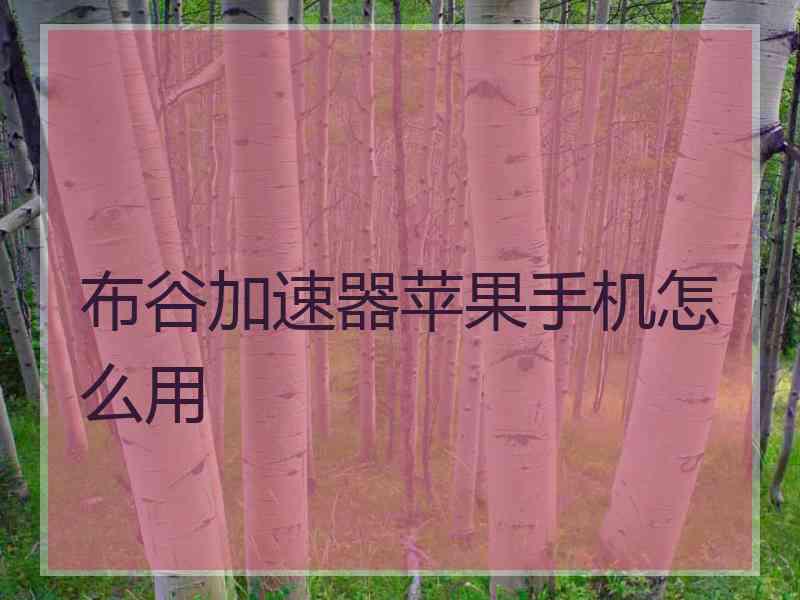布谷加速器苹果手机怎么用 布谷加速器苹果手机怎么用
