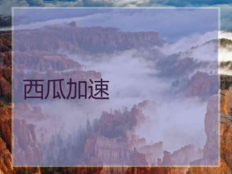 西瓜加速 西瓜加速