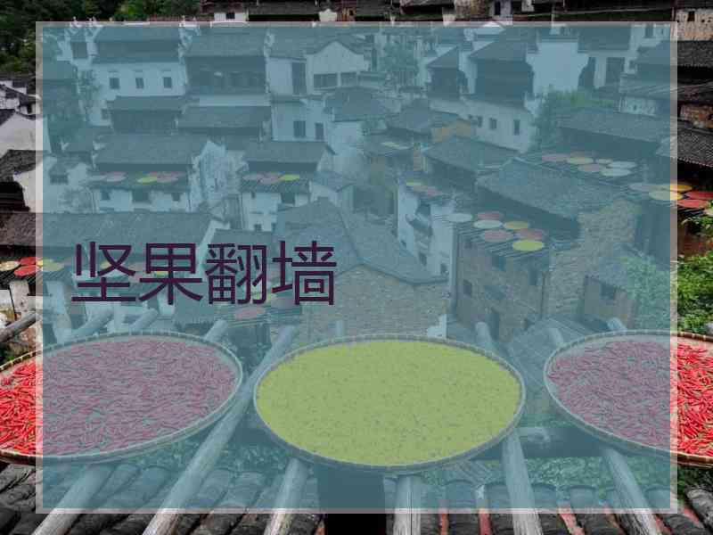 坚果翻墙