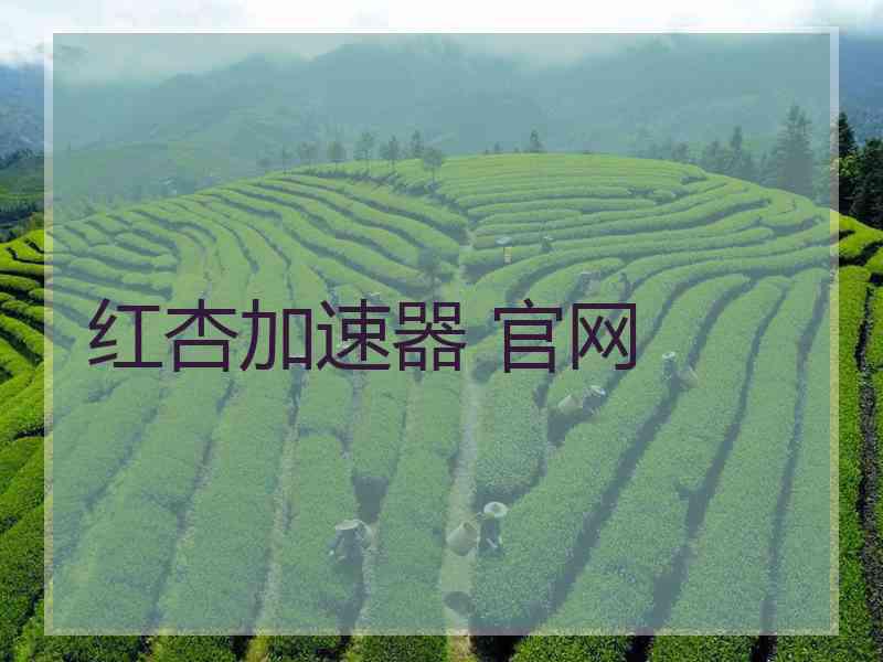 红杏加速器 官网