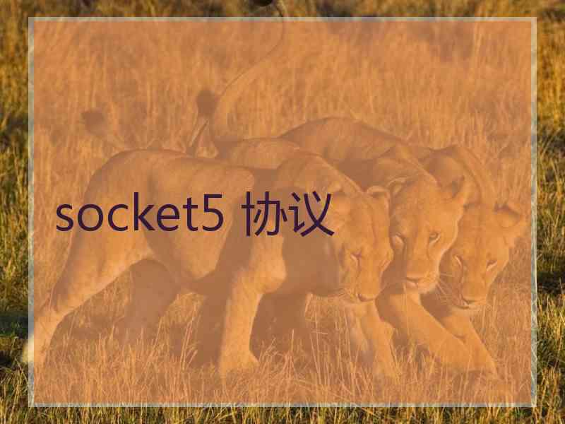 socket5 协议