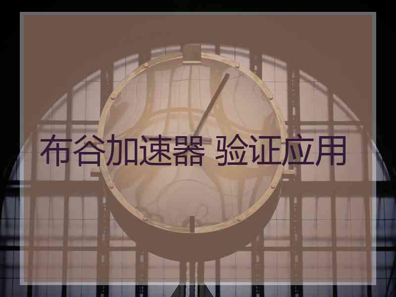 布谷加速器 验证应用