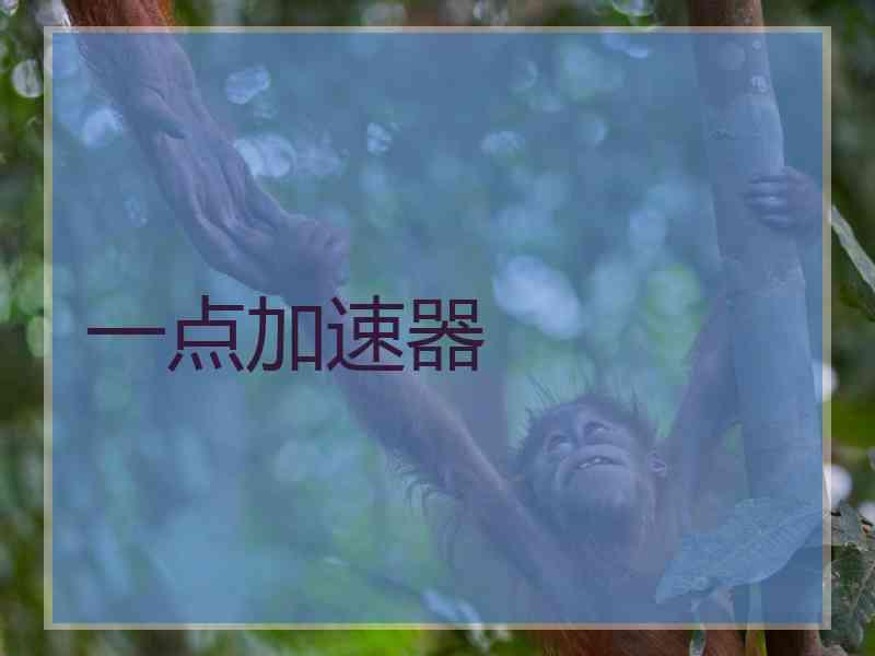 一点加速器