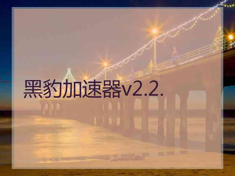 黑豹加速器v2.2.
