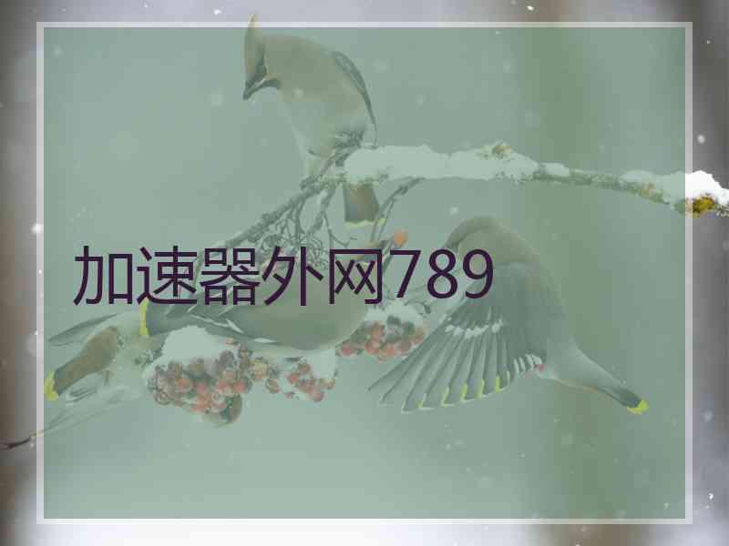 加速器外网789