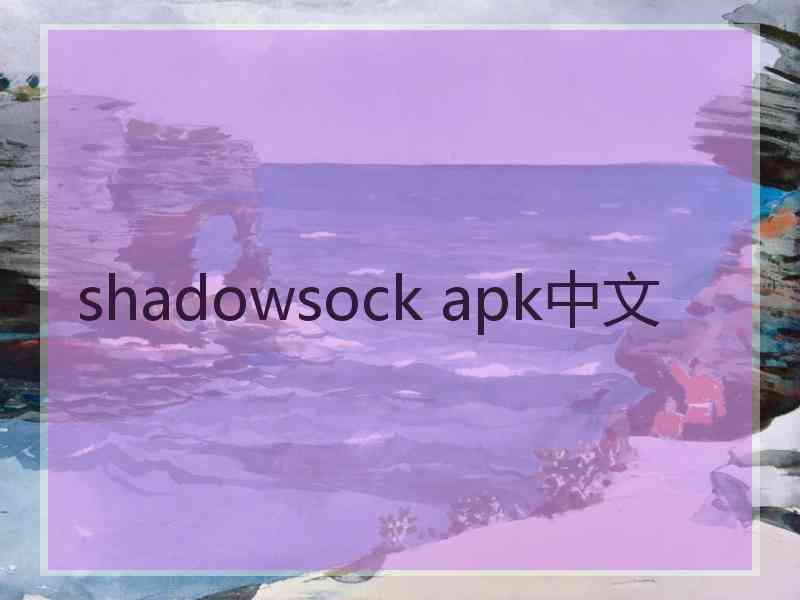 shadowsock apk中文