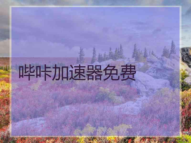 哔咔加速器免费