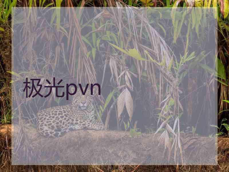 极光pvn