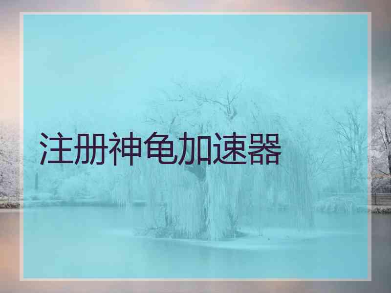 注册神龟加速器