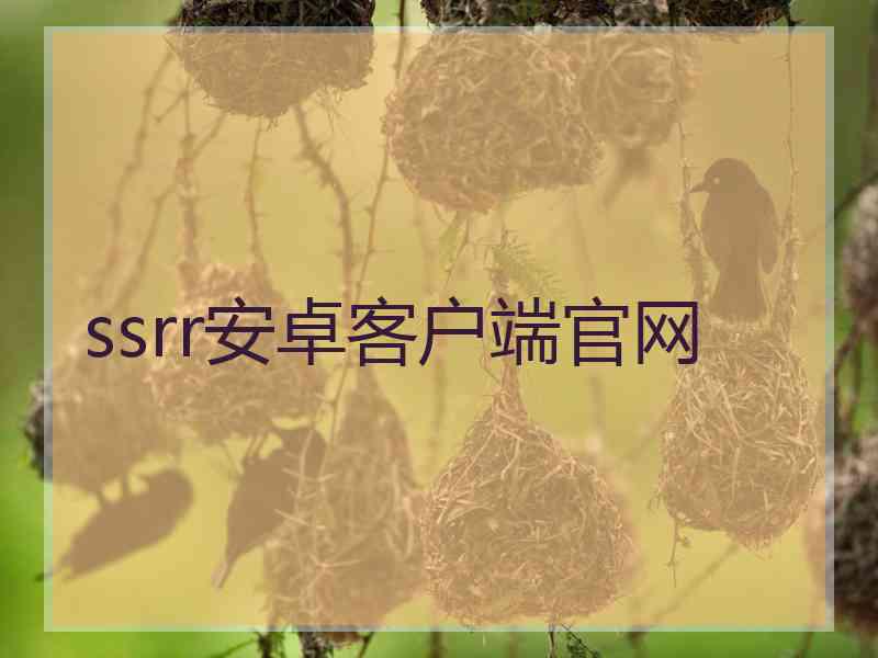 ssrr安卓客户端官网