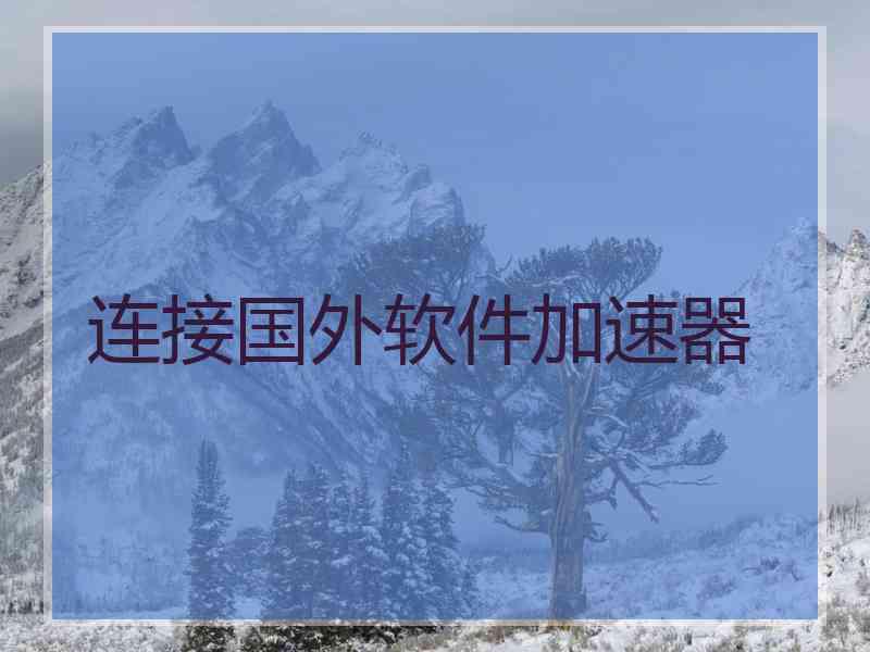 连接国外软件加速器