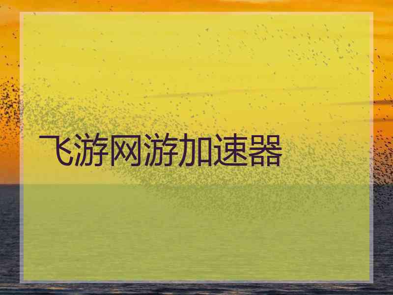 飞游网游加速器