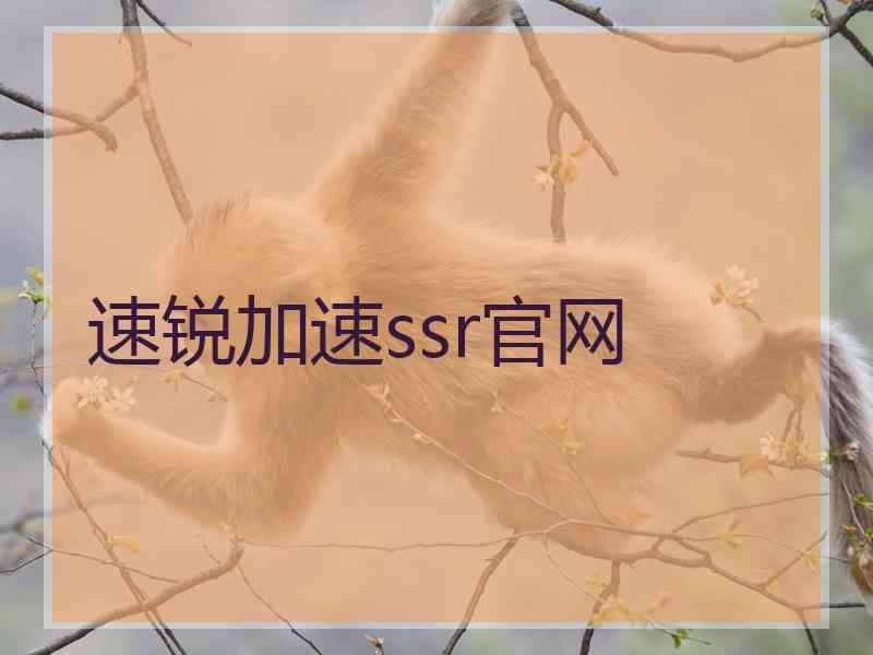 速锐加速ssr官网