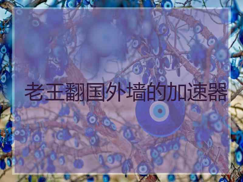 老王翻国外墙的加速器