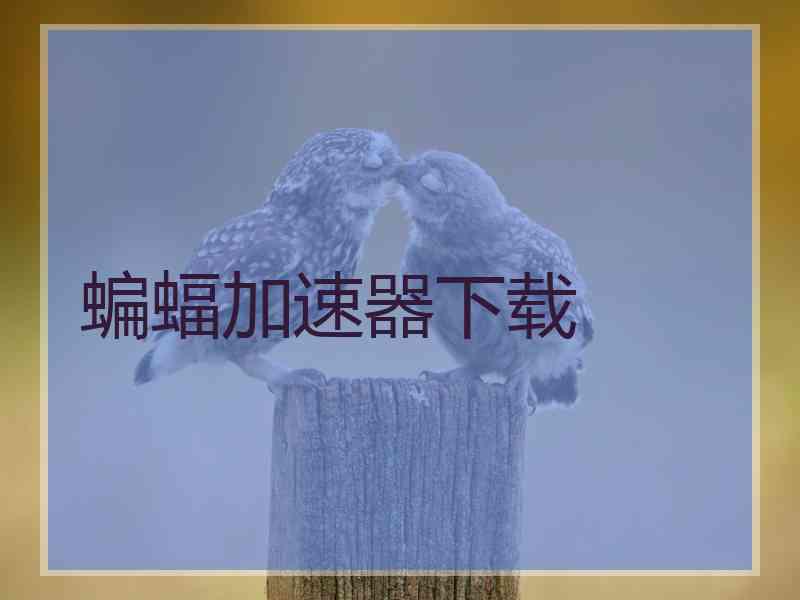 蝙蝠加速器下载