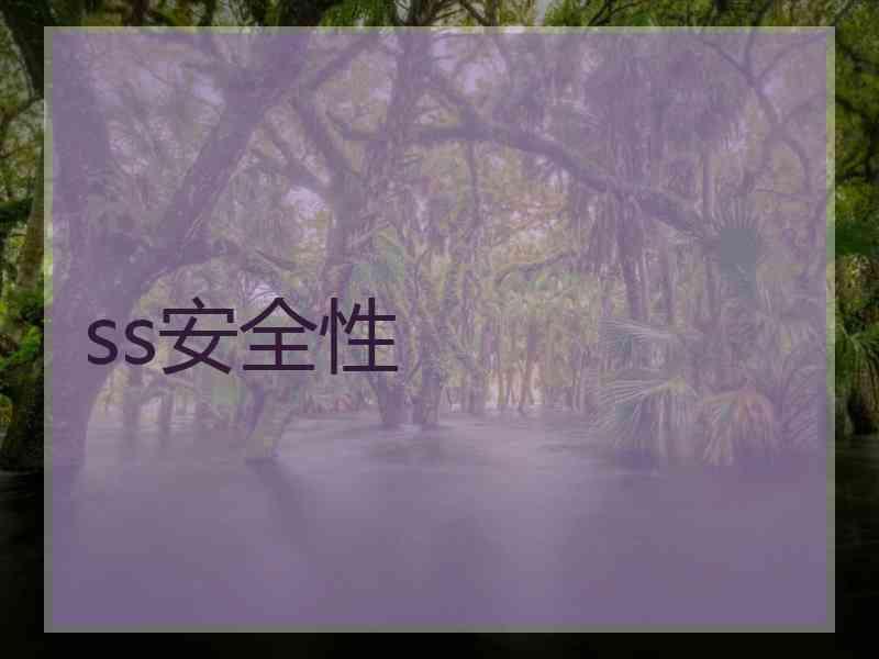 ss安全性