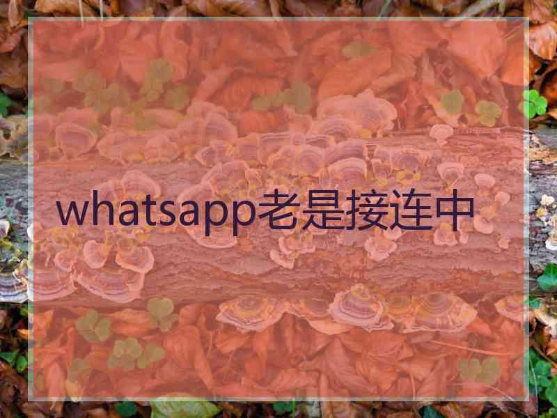 whatsapp老是接连中