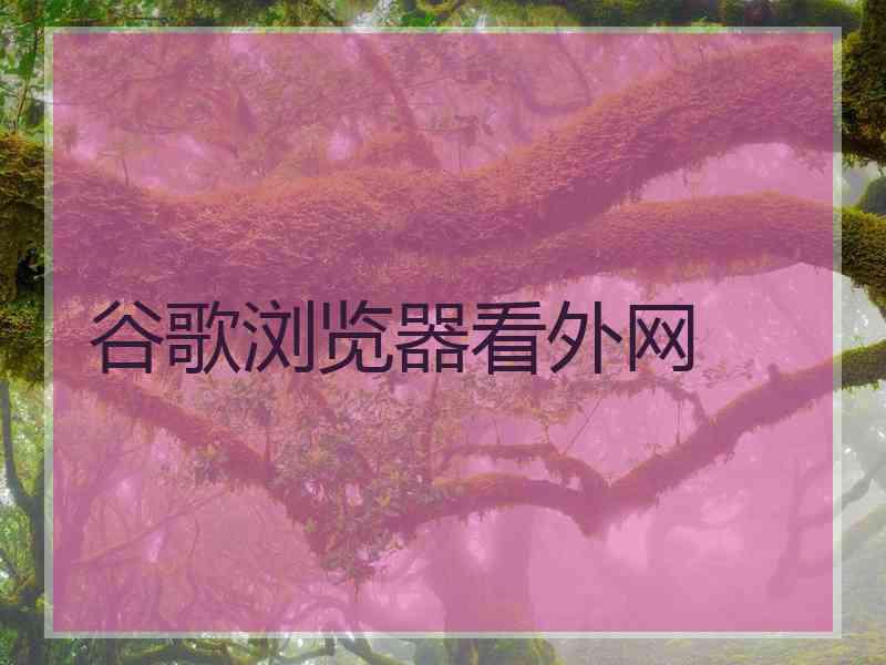 谷歌浏览器看外网