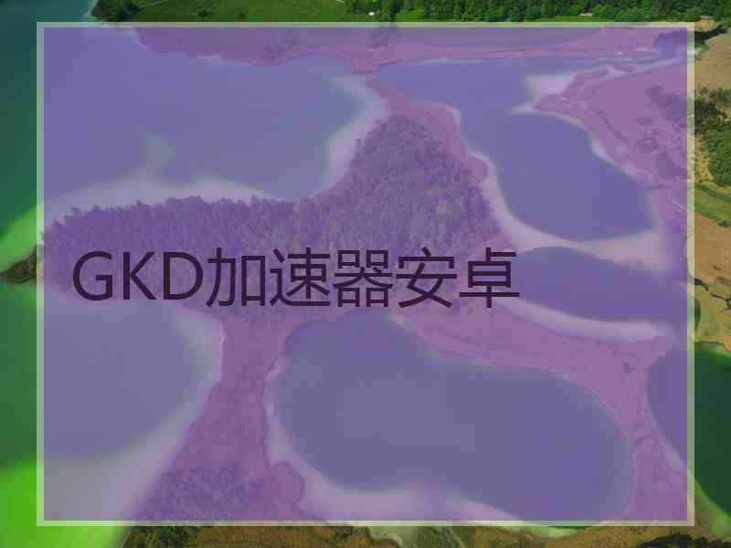 GKD加速器安卓