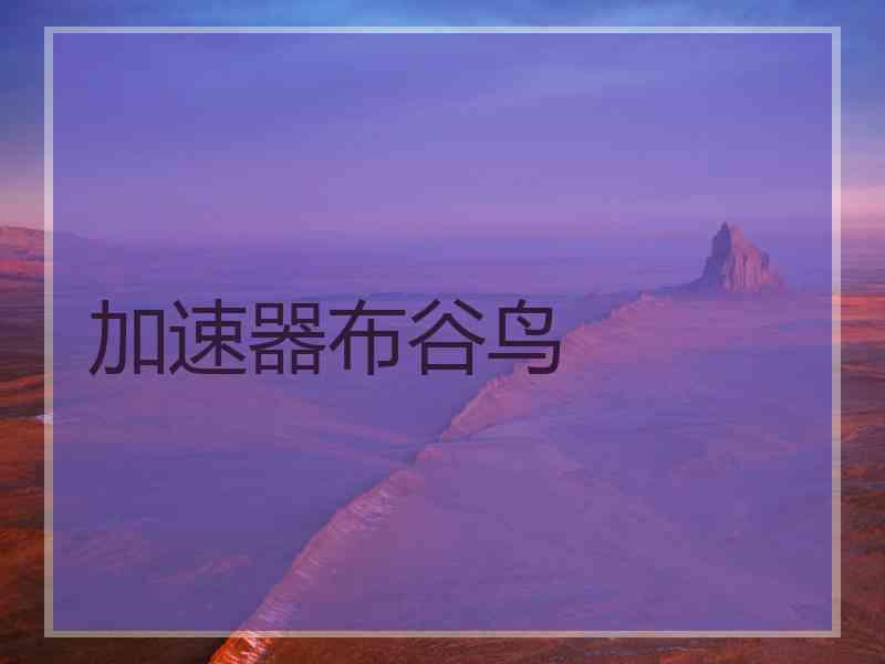 加速器布谷鸟