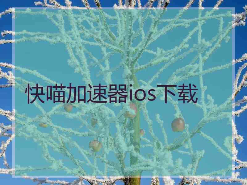 快喵加速器ios下载