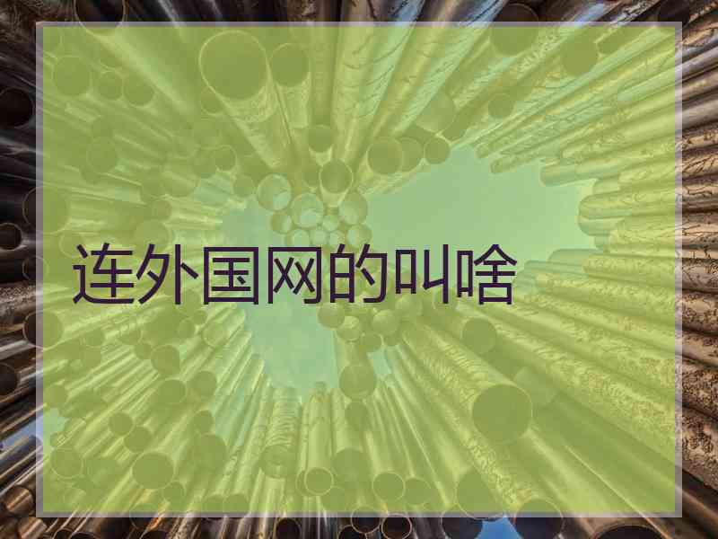 连外国网的叫啥