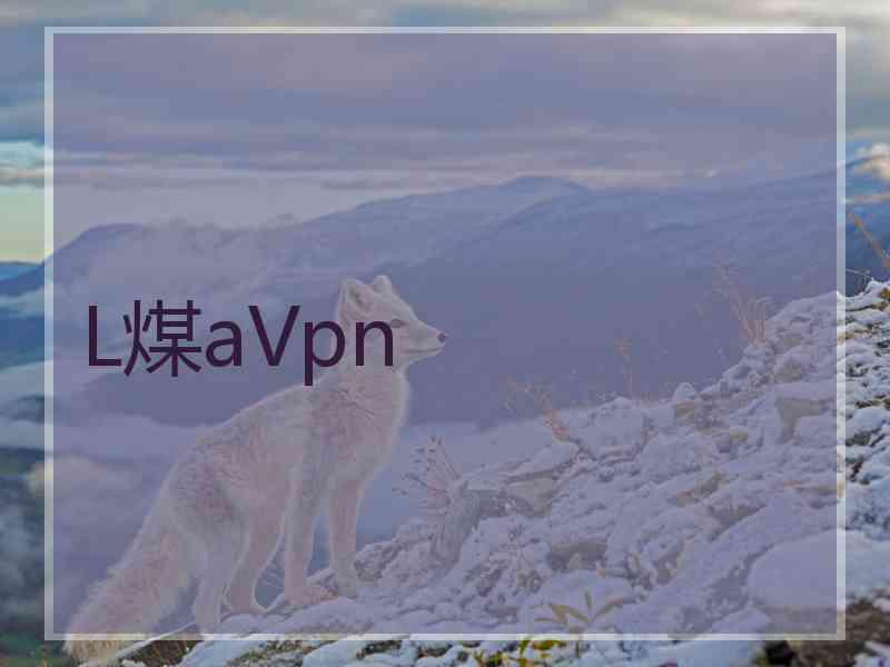 L煤aVpn