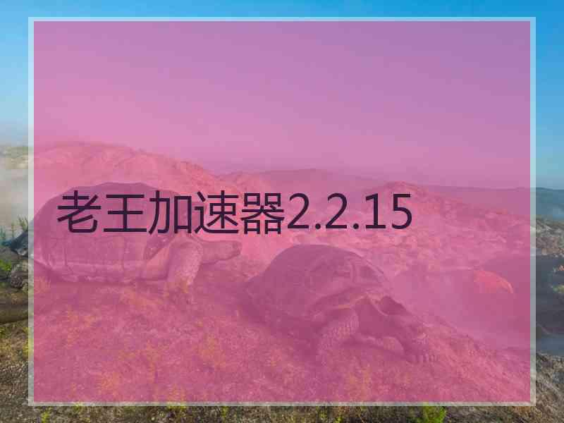 老王加速器2.2.15