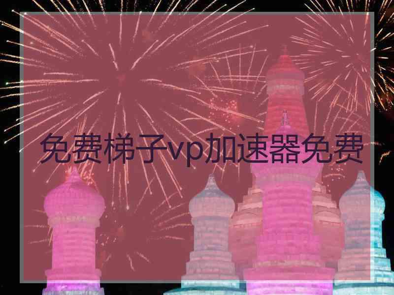 免费梯子vp加速器免费