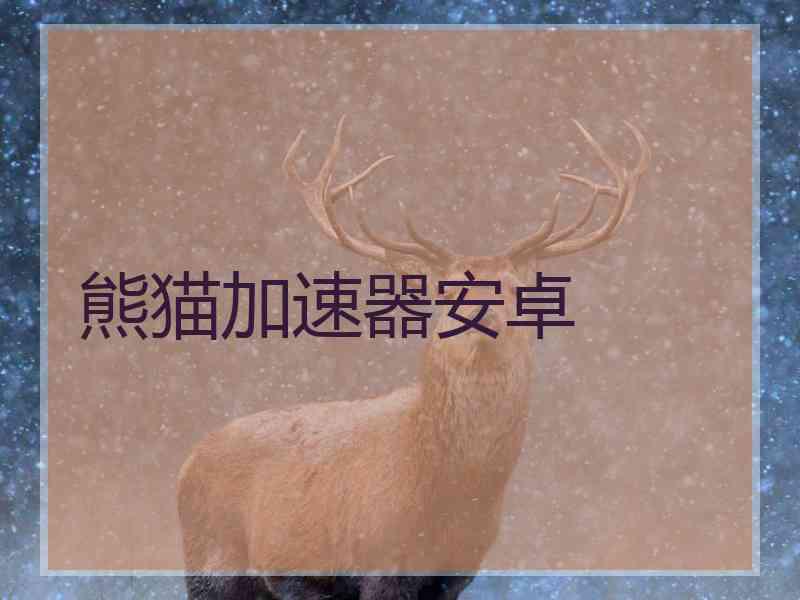 熊猫加速器安卓
