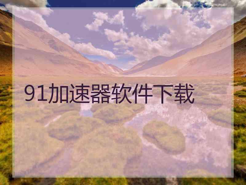 91加速器软件下载