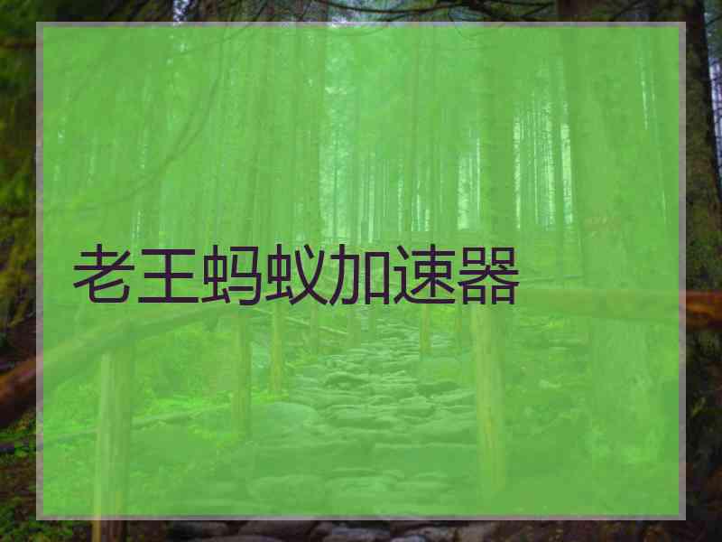 老王蚂蚁加速器