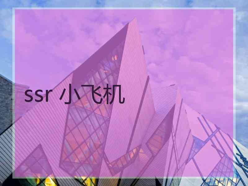 ssr 小飞机