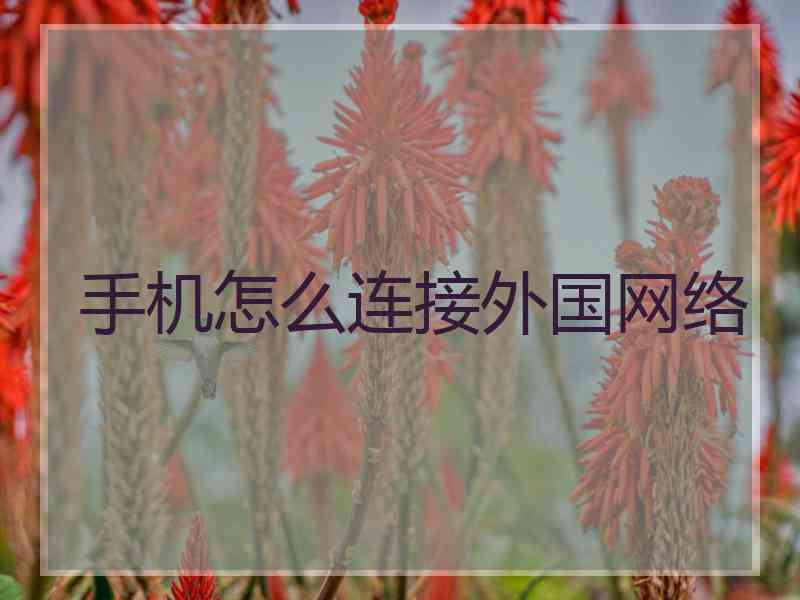 手机怎么连接外国网络