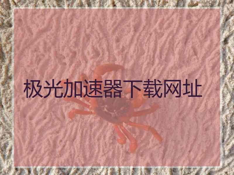 极光加速器下载网址