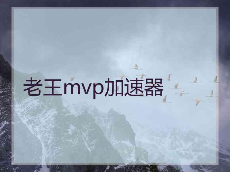 老王mvp加速器