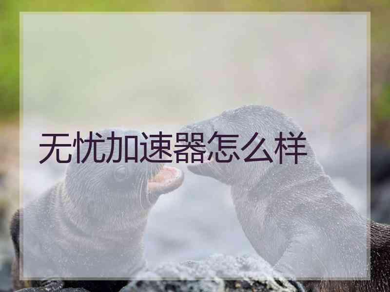 无忧加速器怎么样