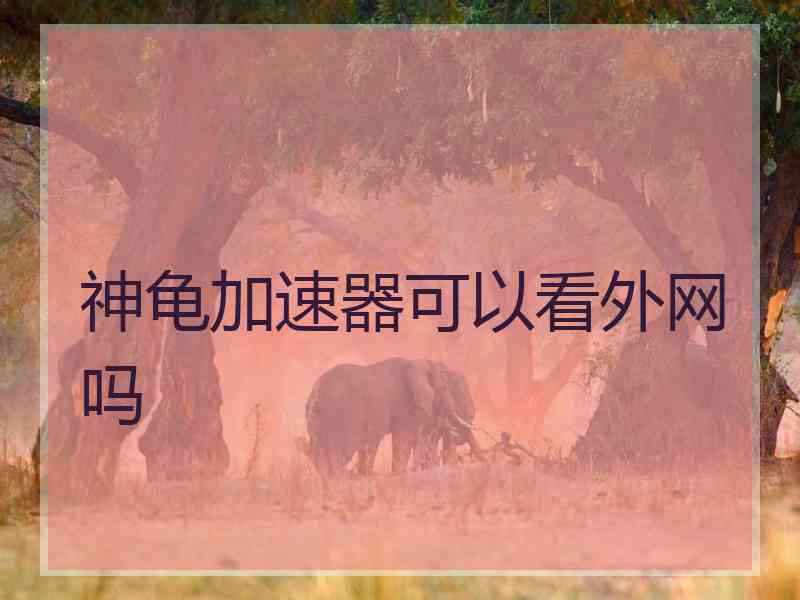 神龟加速器可以看外网吗