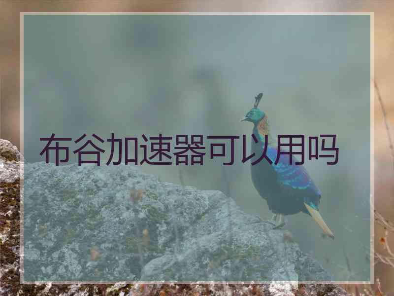 布谷加速器可以用吗