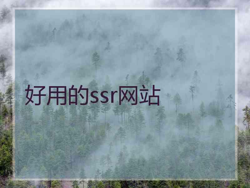 好用的ssr网站