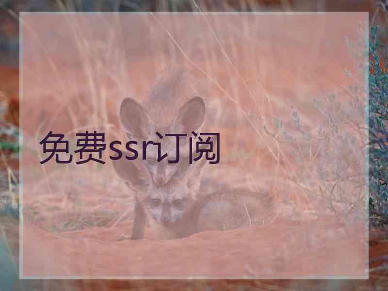 免费ssr订阅