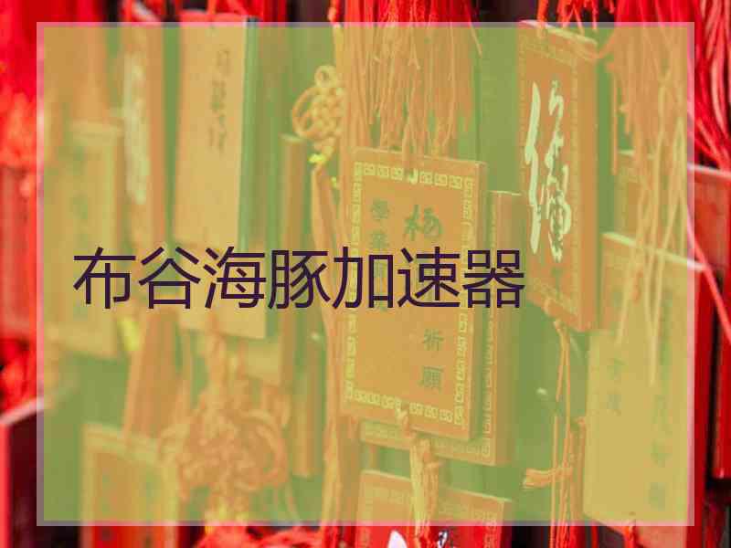 布谷海豚加速器