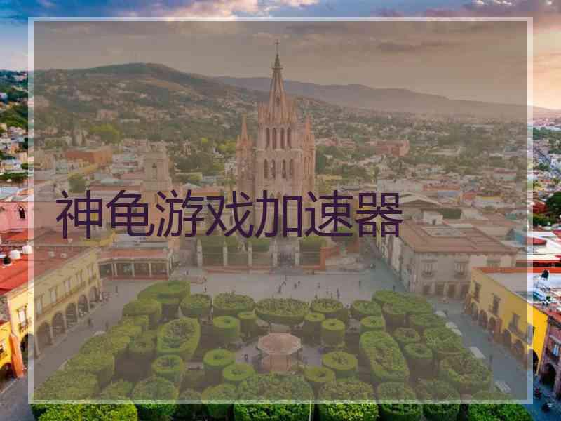 神龟游戏加速器
